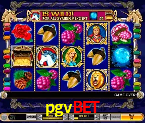 Descubra o Mundo do Cassino Online com pgvbet